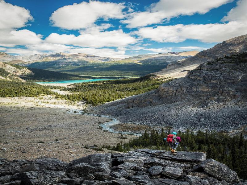 The Lodge At Bow Lake image