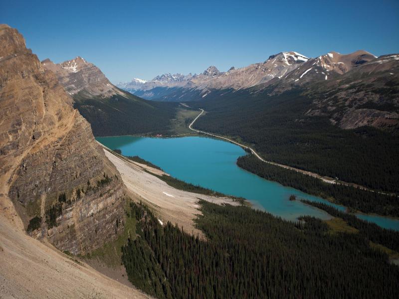 The Lodge At Bow Lake image