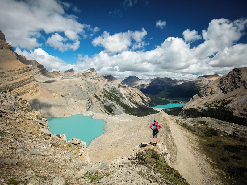 The Lodge At Bow Lake image