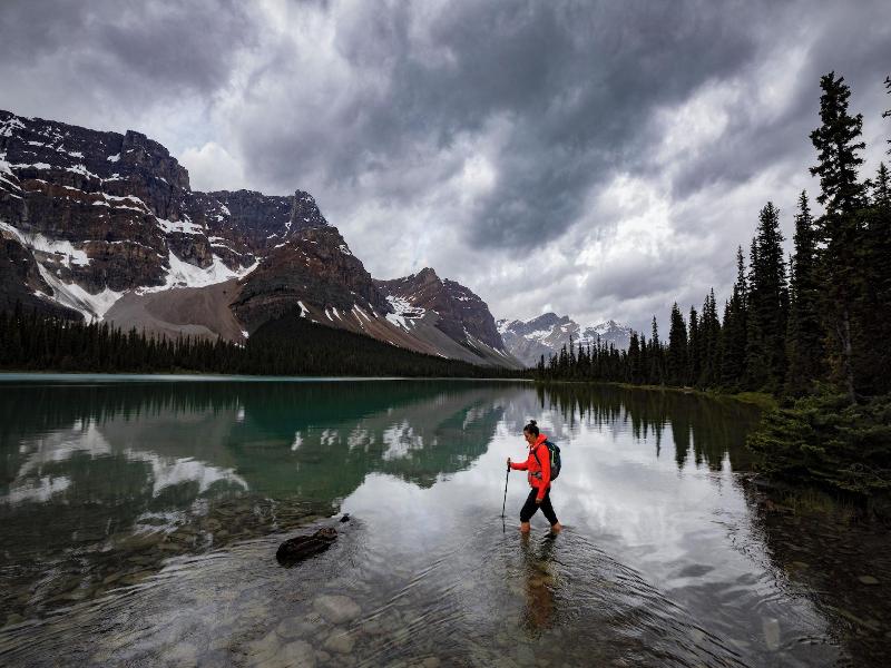 The Lodge At Bow Lake image