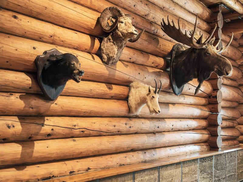 The Lodge At Bow Lake image