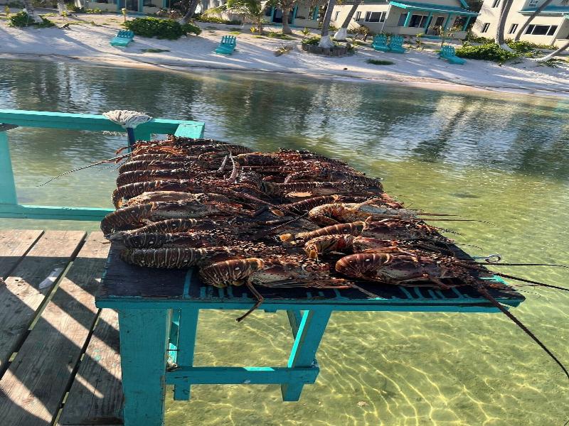 Tranquility Bay Resort image