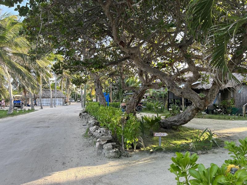 Hotel Del Rio image