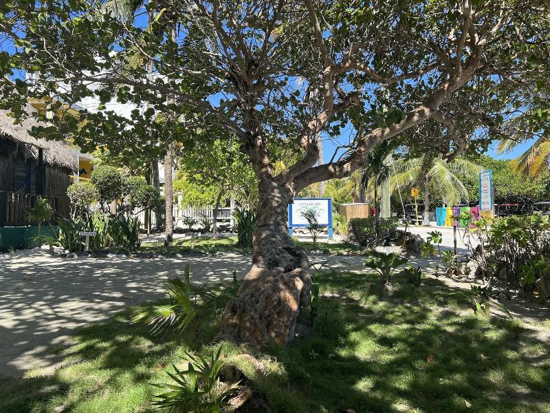 Hotel Del Rio image