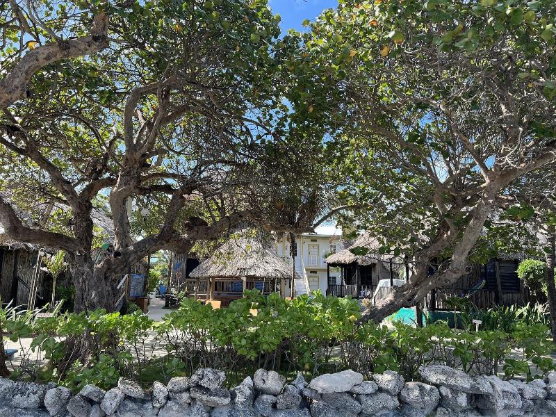 Hotel Del Rio image