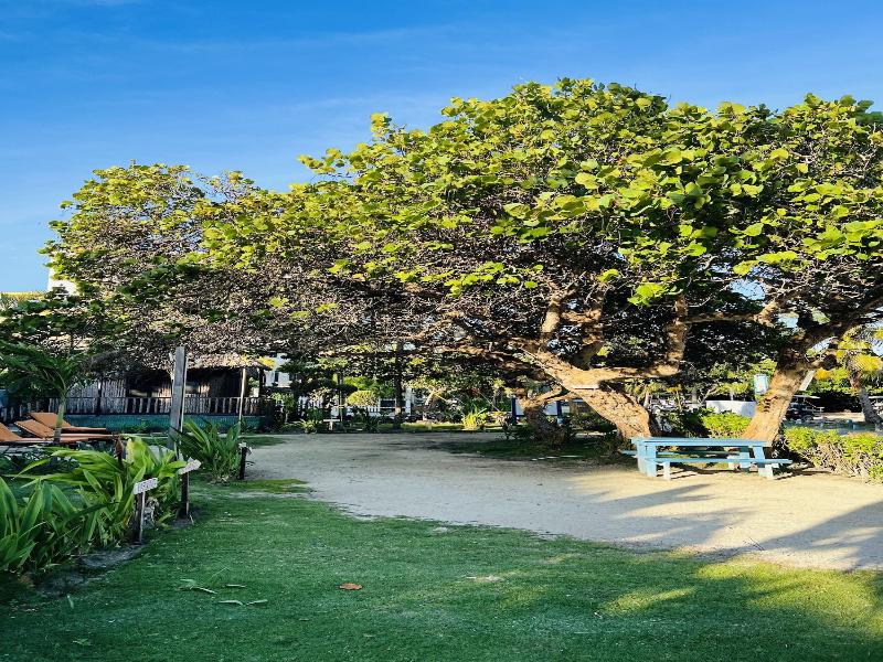 Hotel Del Rio image