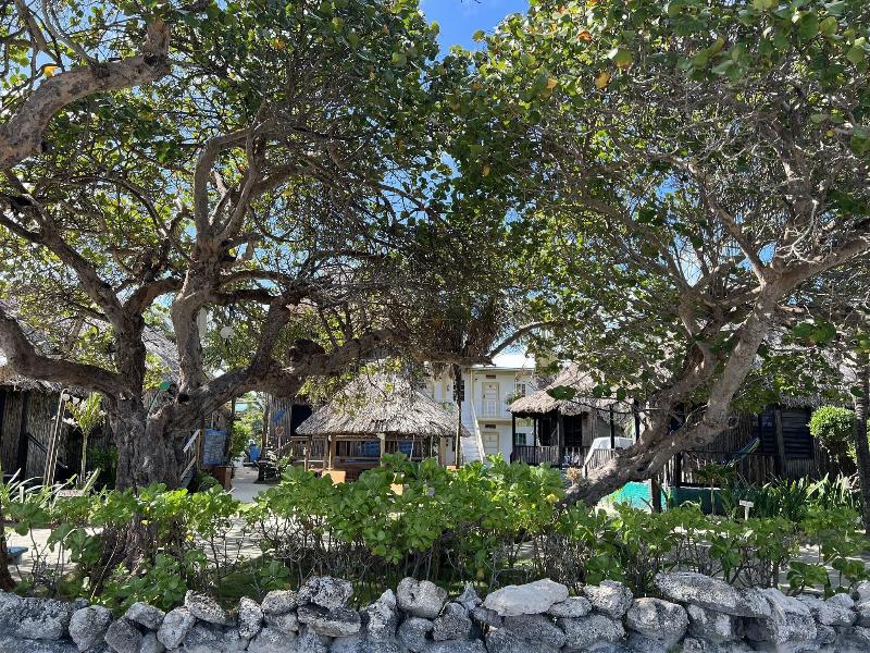Hotel Del Rio image