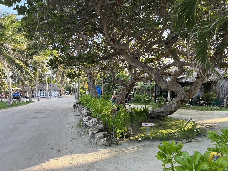 Hotel Del Rio image