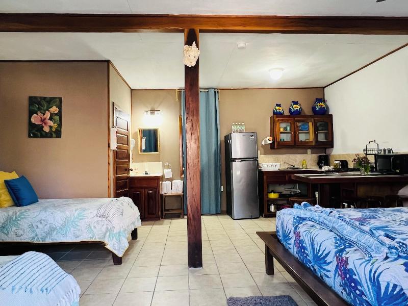 Hotel Del Rio image