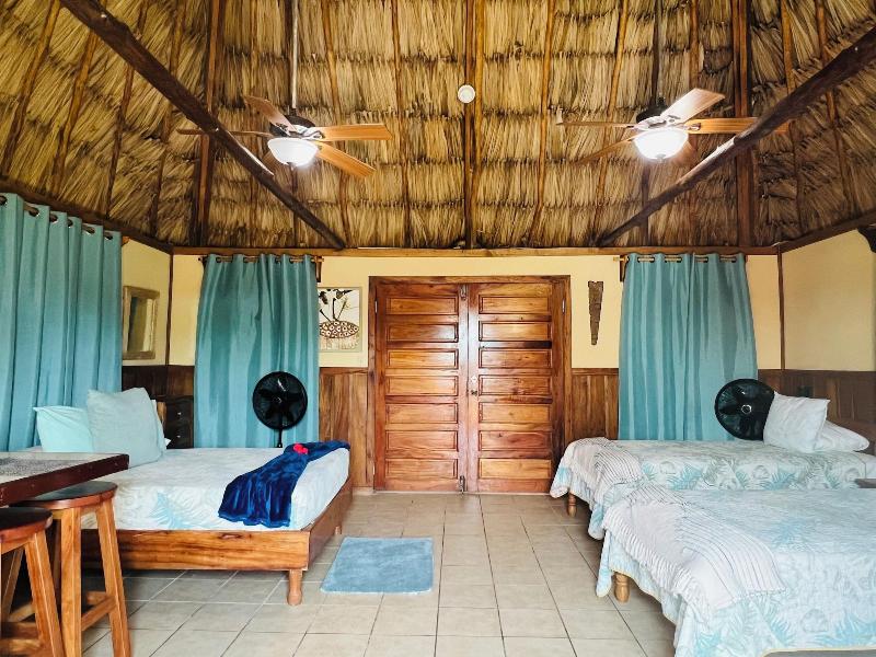 Hotel Del Rio image