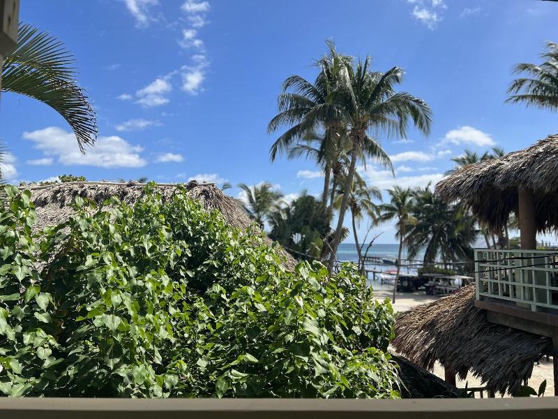 Hotel Del Rio image
