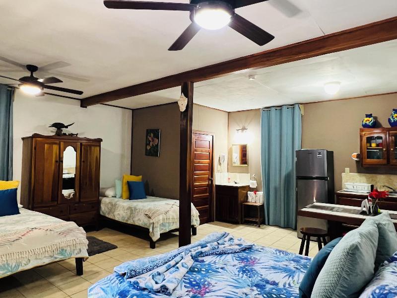 Hotel Del Rio image