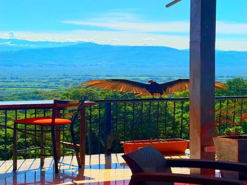 Mountain Top Park Hotel image