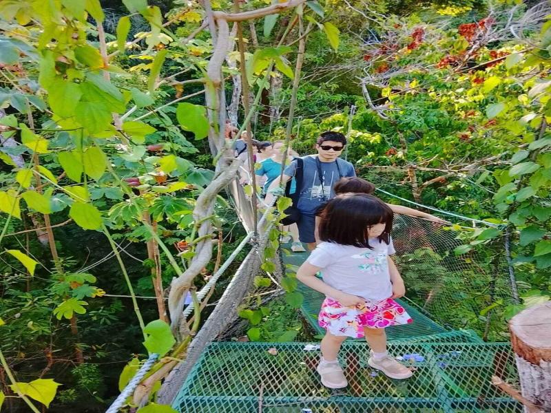 Mountain Top Park Hotel image