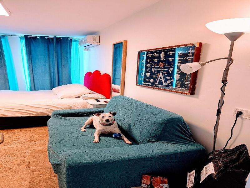 Hostal Estudios image