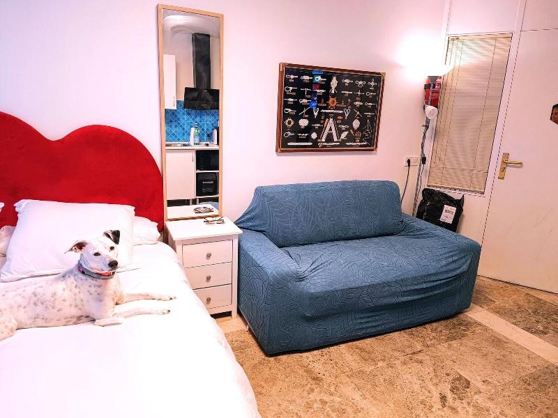 Hostal Estudios image