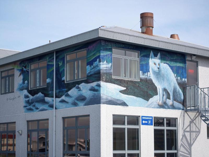 Adventure Hotel Hellissandur image