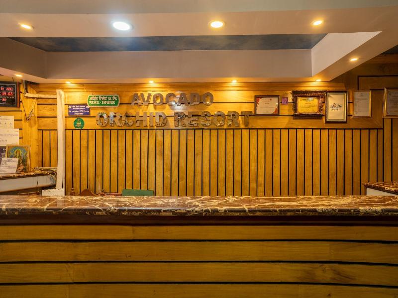 Avocado And Orchid Resort image