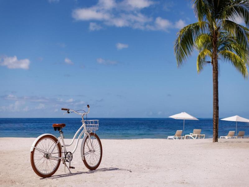 Sandals St. Vincent And The Grenadines  Couples  image