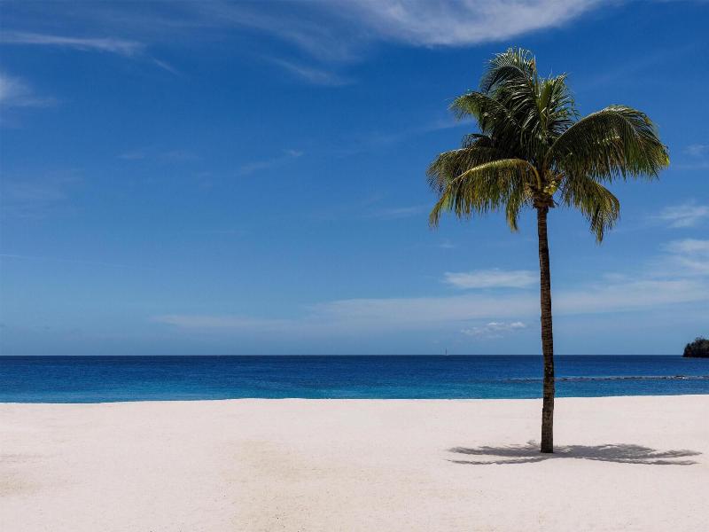 Sandals St. Vincent And The Grenadines  Couples  image