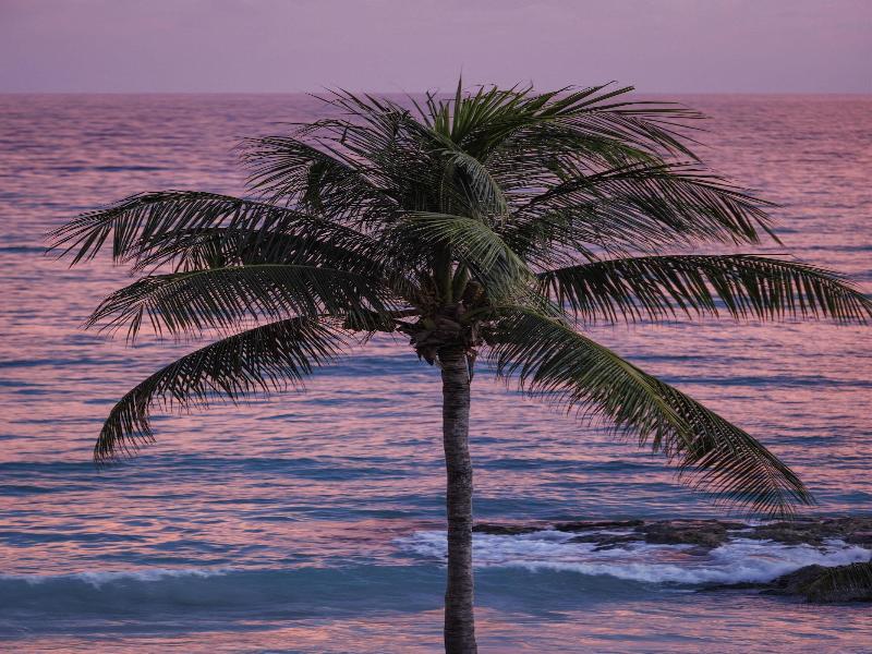 Sandals St. Vincent And The Grenadines  Couples  image