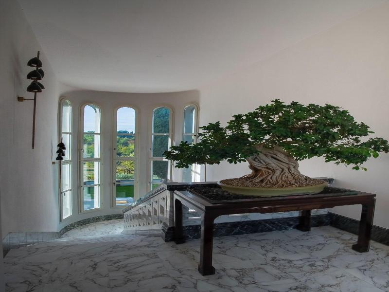 Boutique Hotel Villa Monty Banks image