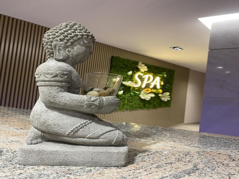Doanesia Premium Hotel & Spa image