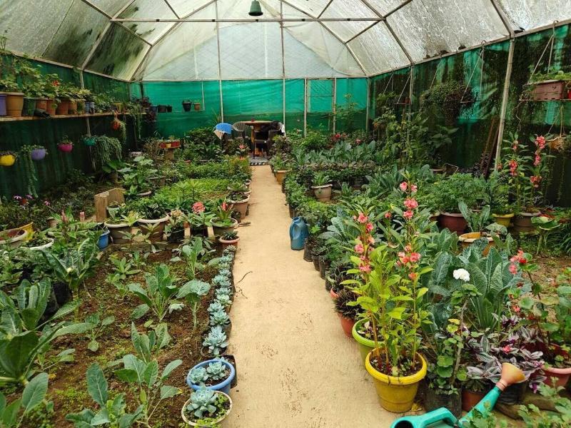 Amaira Resort & Farms - Mirik, West Bengal image
