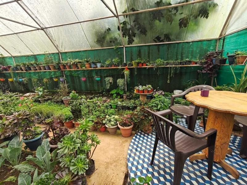 Amaira Resort & Farms - Mirik, West Bengal image