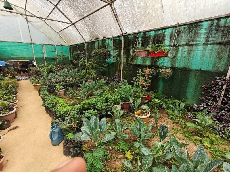 Amaira Resort & Farms - Mirik, West Bengal image