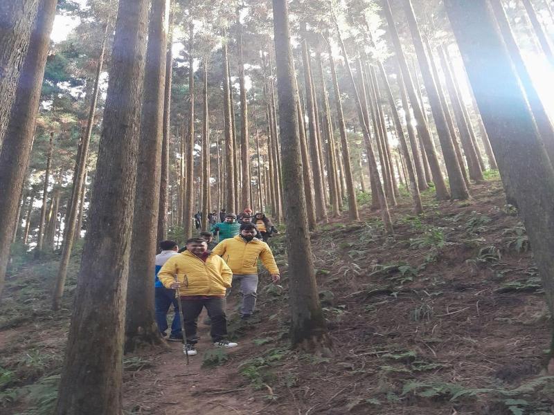 Amaira Resort & Farms - Mirik, West Bengal image