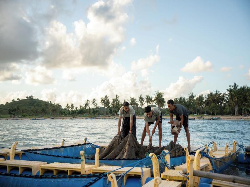 Kuara Lombok image