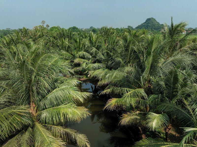 Nature Garden Ecolodge Ninh Binh image