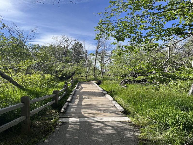Camp Richardson Historic Resort image