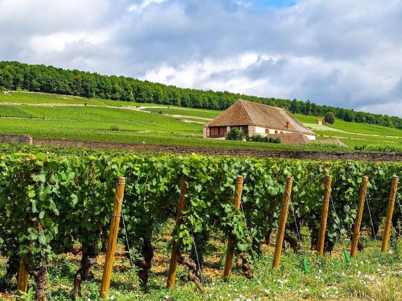 Voco Beaune Â€“ Citã© Des Vins By Ihg image