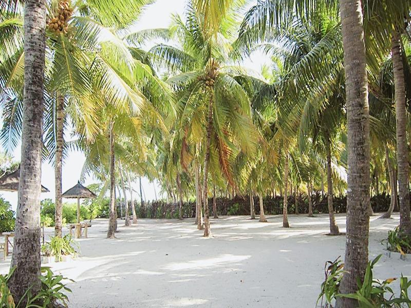 Nazaki Beach Hotel & Spa Maldives
