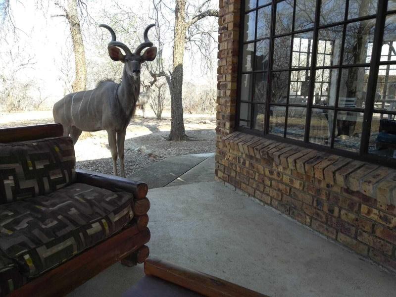 Elephant Memories Safari Lodge image
