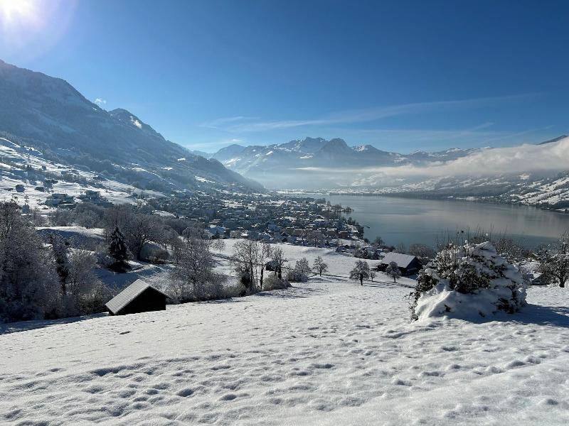 Verena's Boutique Villa Au Lac image