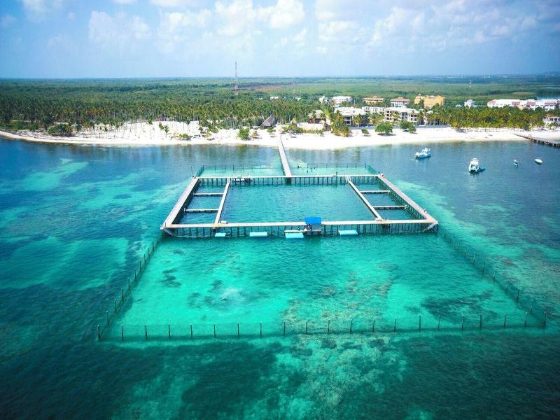 Caribbean Ocean Breeze Beach Hotel image