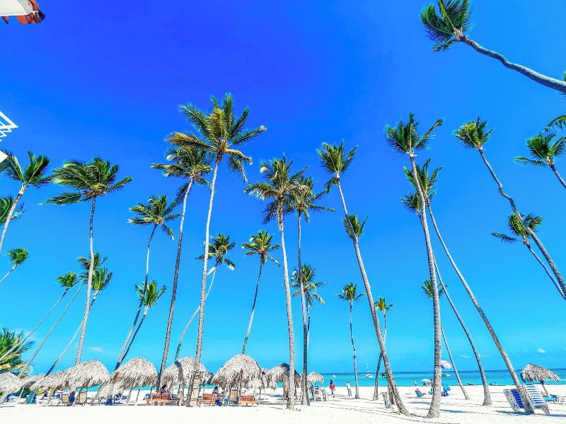 Beach Fun And Life image