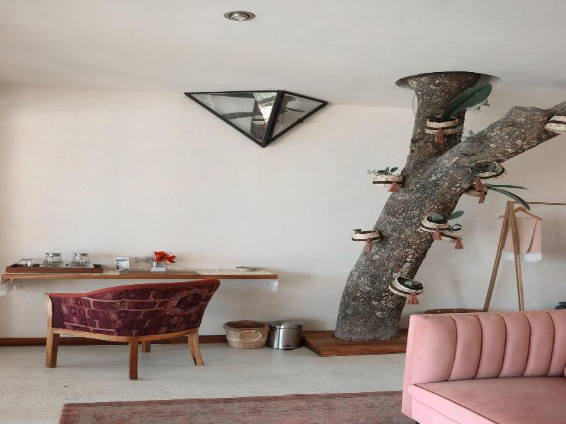 Kula Maya Boutique Hotel & Spa image