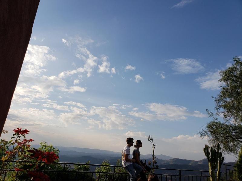 Top Twelve Hotel image
