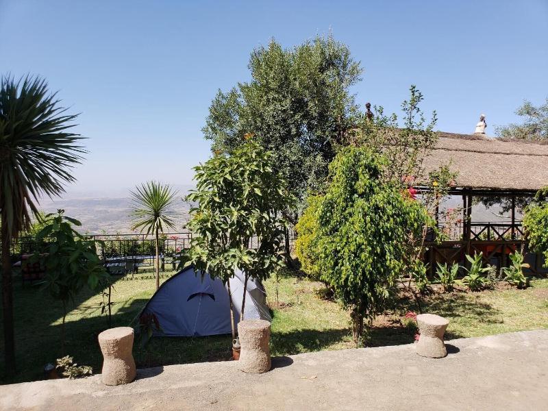 Top Twelve Hotel image