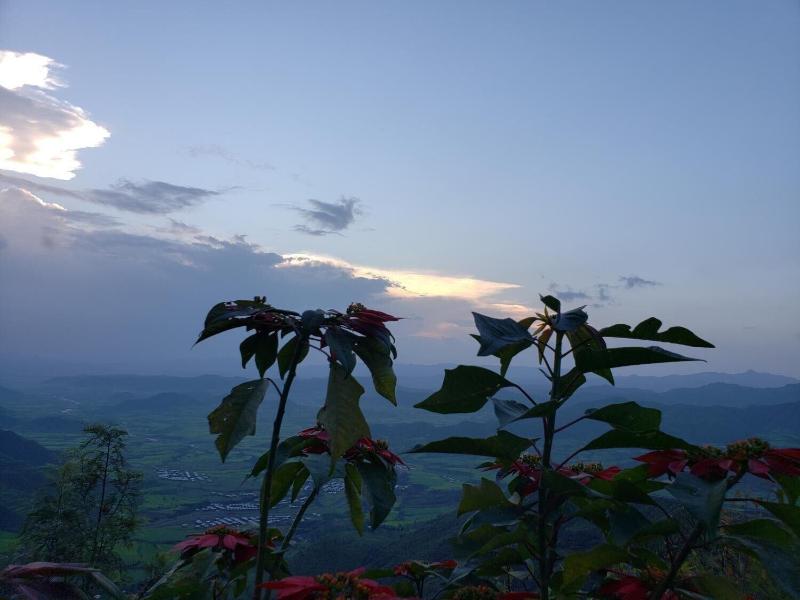 Top Twelve Hotel image