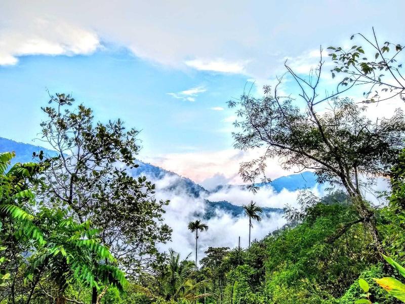Holistic Stay Eco Resort image