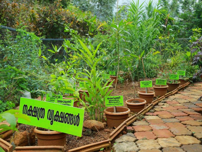 Holistic Stay Eco Resort image