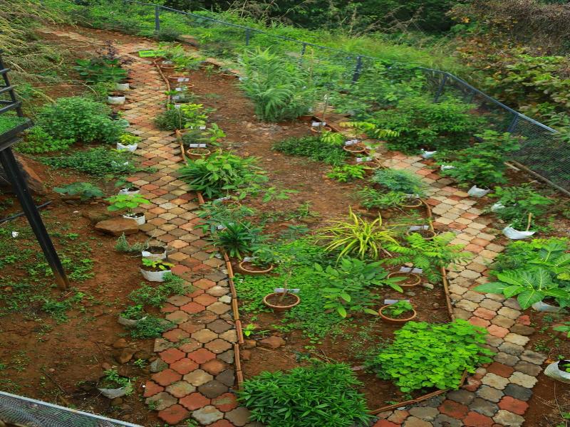 Holistic Stay Eco Resort image