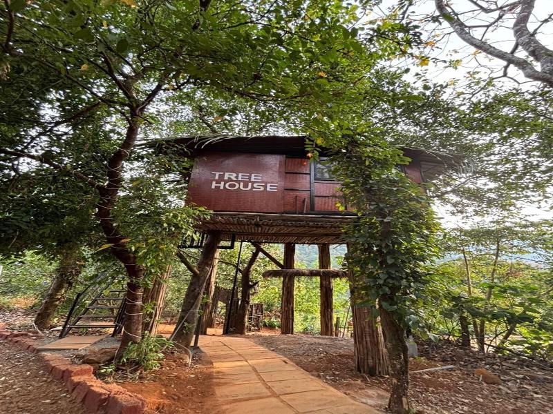 Holistic Stay Eco Resort image