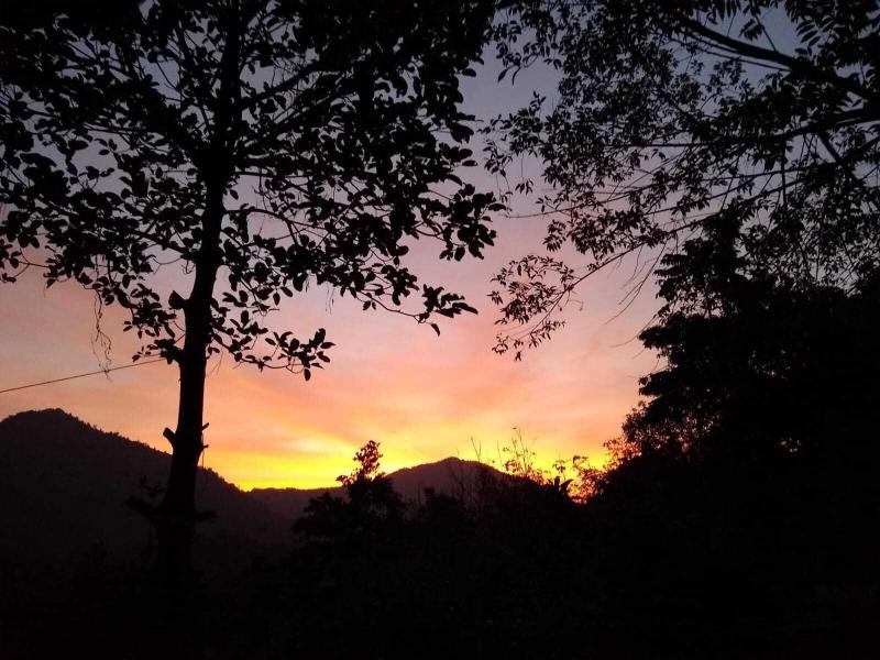 Holistic Stay Eco Resort image