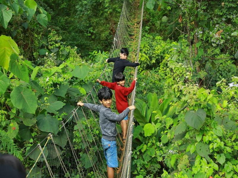 Holistic Stay Eco Resort image